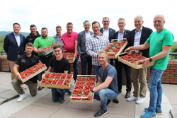 Männer mit Paletten voller Erdbeeren