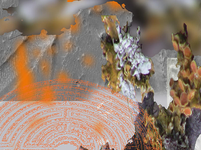 Wirrnis Kammer_Spiel