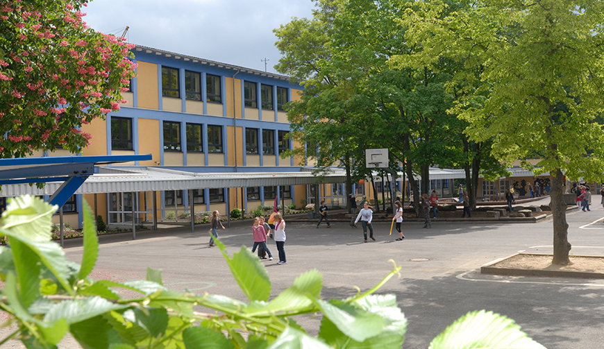 Blick über eine Hecke auf einen großen Hof mit Bäumen, im Hintergrund ein Gebäude