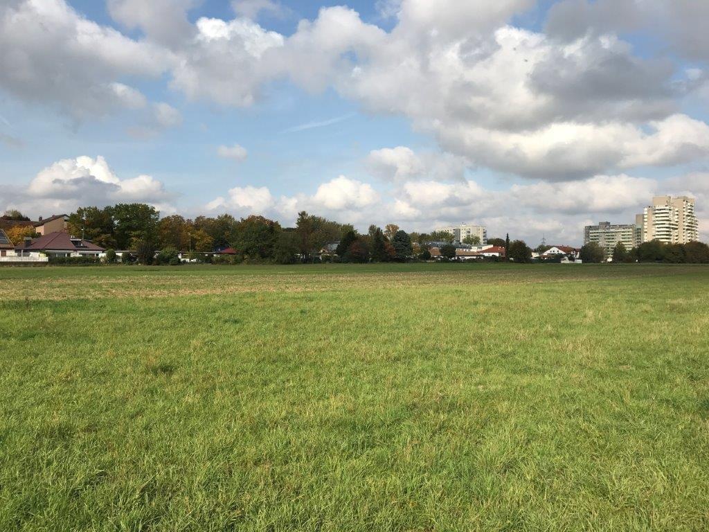 zukünftiges Baufeld