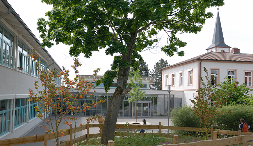 einen Baum auf einer eingezäunten Wiese, dahinter ein langgestrecktes Gebäude