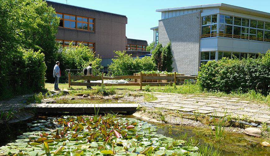 im Vordergrund einen Teich, dahinter einen von Bäumen und Sträuchern eingefassten Hof und im Hintergrund Gebäude