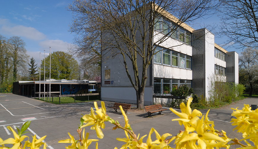 Blick über einige gelbe Blüten auf einen Hof mit einem Baum und Gebäuden  im Hintergrund