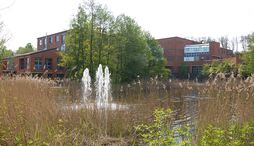 den Blick auf einen von vielen Pflanzen umwachsenen Teich mit einem kleinen Springbrunnen