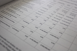 eine Seite aus einem Haushaltsplan mit einer Tabelle voller Zahlen