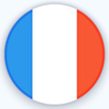 die französische Flagge.