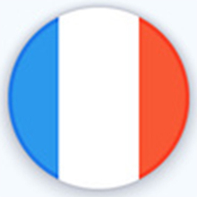 die französische Flagge.
