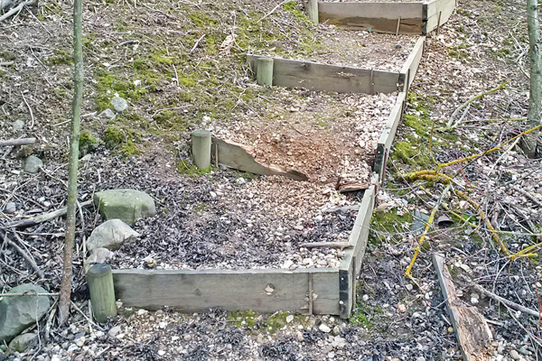 ein Stück Waldboden mit einer kaputten Treppe aus einigen Holzbrettern