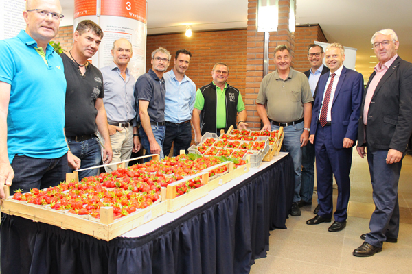 eine Gruppe Männer, die um Stiegen voller Erdbeeren stehen und in die Kamera schauen