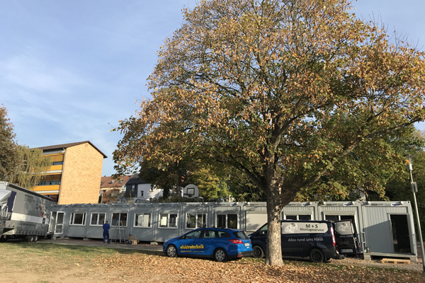 eine Reihe Container auf einer Wiese, davor ein großer Baum