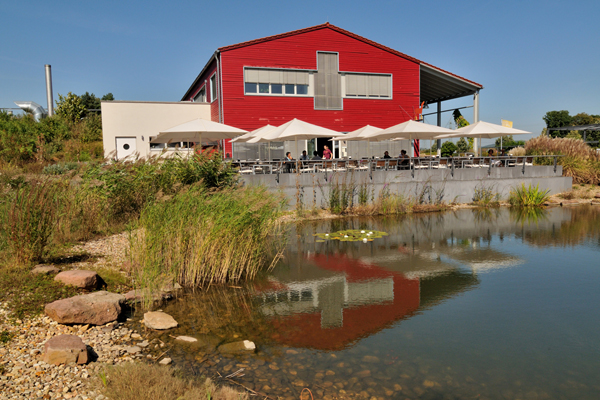 ein rot verkleidetes Gebäude, davor ein See und eine Terrasse mit weißen Sonnenschirmen