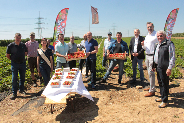 zwölf Männer und eine Frau, die im Halbkreis vor einem Erdbeer-Feld und um einen Tisch mit Erdbeeren stehen