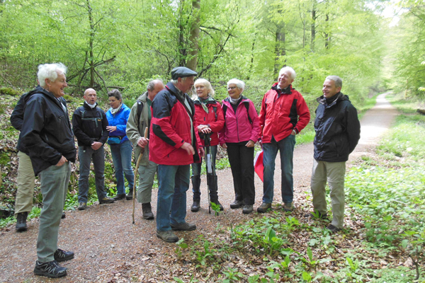 eine Gruppe Wanderer auf einem Waldweg