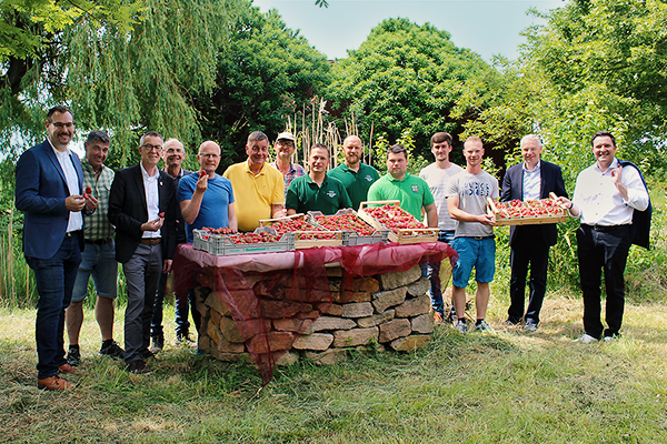 eine aufgereihte Gruppe von Männern im Grünen. einige halten Erdbeerschachteln