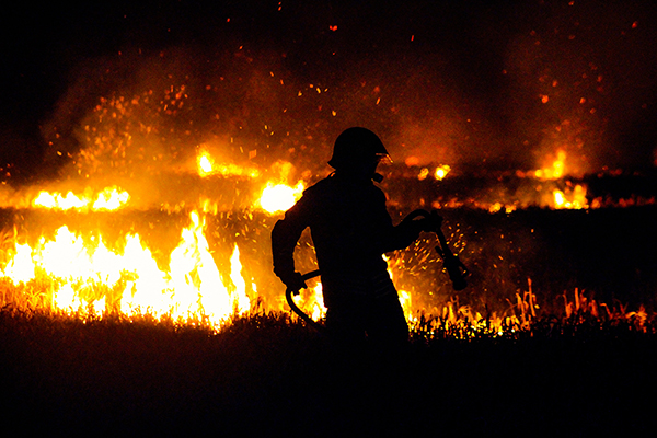 der Schatten eines Feuerwehrmannes vor einem Waldbrand