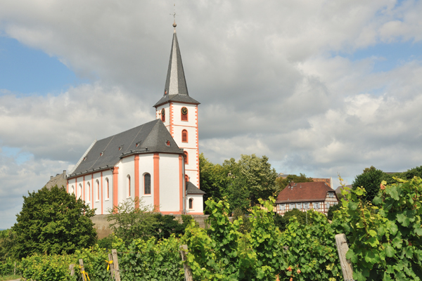 eine Kirche; im Vordergrund sind grüne Weinberge, im Hintergrund erkennt man ein Fachwerkhaus.