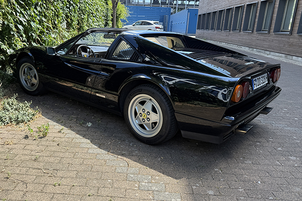 Schwarzes Auto parkt vor einem Busch | Copyright: Teilnehmer Schwarzes Auto parkt vor einem Busch