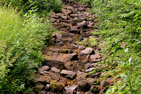 Ausgetrockneter Bachlauf