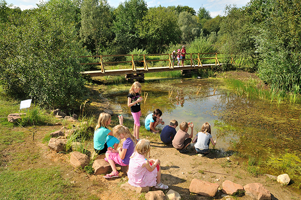 Kinder an einem Teich, der von Bäumen umgrenzt ist. Ein paar von ihnen untersuchen Wasser in kleinen Behältern.