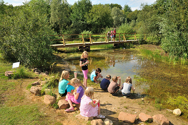 Children next to a pond