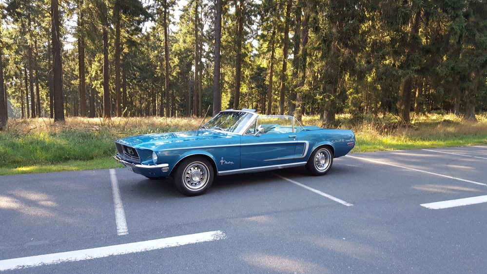Blaues Auto vor einem Wald | Copyright: Teilnehmer Blaues Auto vor einem Wald