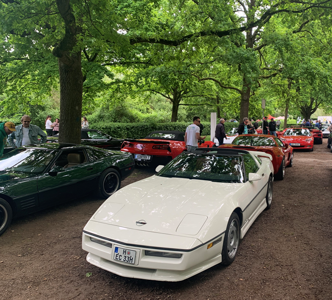 Weißes Auto unter Bäumen | Copyright: Teilnehmer Weißes Auto unter Bäumen