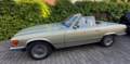 Hellgrünes Auto steht vor einem Busch | Copyright: Teilnehmer Hellgrünes Auto steht vor einem Busch
