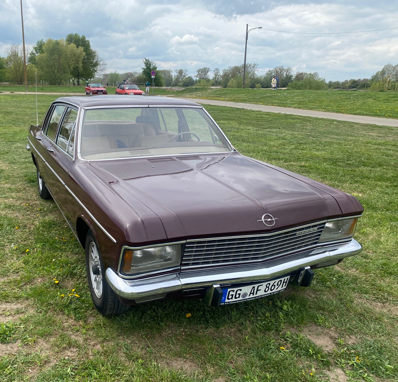 Braun-rotes Auto steht auf einer Wiese | Copyright: Teilnehmer Braun-rotes Auto steht auf einer Wiese
