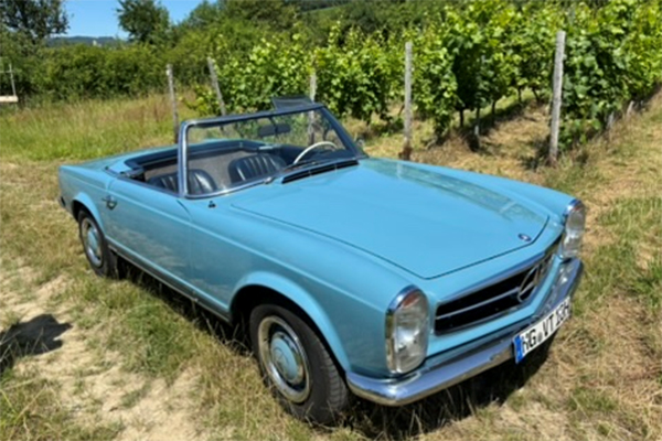 Blaues Auto steht auf einem Weg in den Weinbergen | Copyright: Teilnehmer Blaues Auto steht auf einem Weg in den Weinbergen