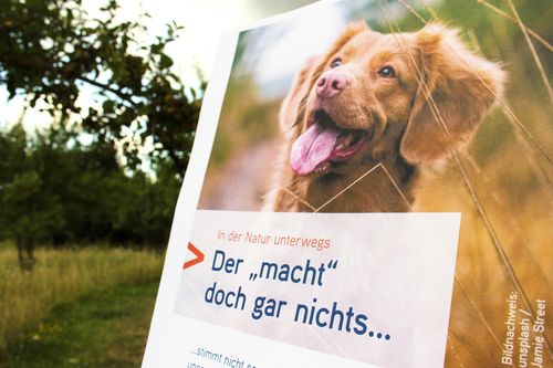 ein Plakat mit einem Hund
