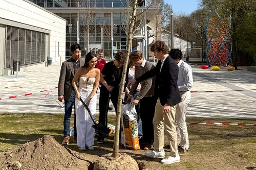 mehrere Schülerinnen und Schüler pflanzen gemeinsam einen Baum
