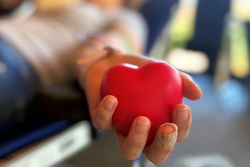 Nahaufnahme einer Hand, die ein rotes Schaumstoffherz hält, während eine Person Blut spendet
