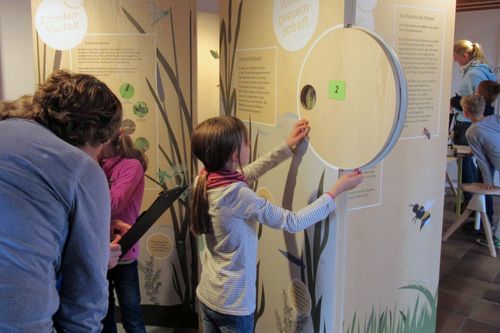 Einige Kinder vor Infotafeln in einer Ausstellung