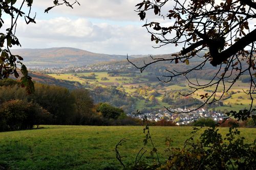 Landschaft und Bäume im MTK